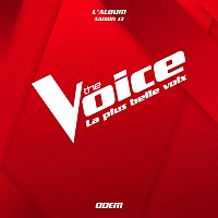 The Voice, Odem – Les murs porteurs [Live]