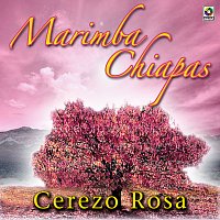 Marimba Chiapas – Cerezo Rosa