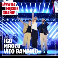 Męskie Granie Orkiestra, Igo, Mrozu, Vito Bambino – Party