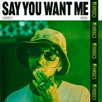 Say You Want Me [Pocket Remix]
