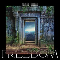 Freedom [Sub Focus x Wilkinson x High Contrast Remix]