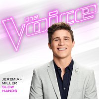 Slow Hands [The Voice Performance]