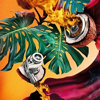 Přední strana obalu CD Turbococco