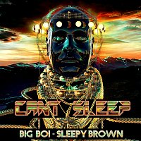 Big Boi, Sleepy Brown – Can't Sleep