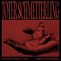 Klangkuenstler, Sant – Toter Schmetterling [Single Edit]