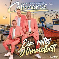 Přední strana obalu CD Ein rotes Himmelbett