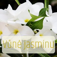 Přední strana obalu CD Vůně jasmínu