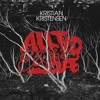 Přední strana obalu CD Alltid elske dae