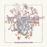 Nolwenn Leroy – Je ne peux plus dire je t'aime