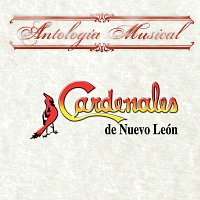 Přední strana obalu CD Antología Musical