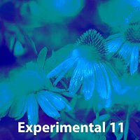 Sandro – Experimental 11