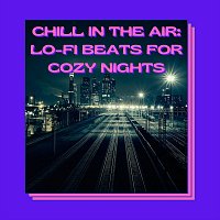 Různí interpreti – Chill in the Air: Lo-Fi Beats for Cozy Nights