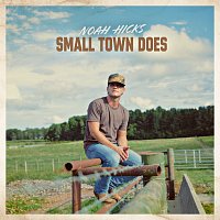 Noah Hicks – Small Town Does