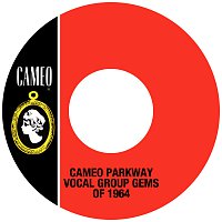 Různí interpreti – Cameo Parkway Vocal Group Gems Of 1964