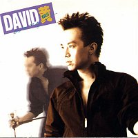 David Huang – David David
