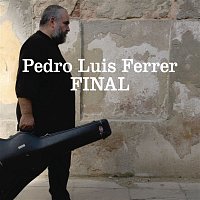 Pedro Luis Ferrer – Final
