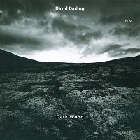 David Darling – Dark Wood