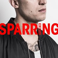 Pede B – Sparring