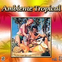 Různí interpreti – Colección De Oro: Ambiente Tropical, Vol. 3