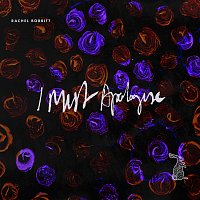 Rachel Bobbitt – I must apologise