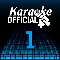 Různí interpreti – Karaoke Official Volume 1