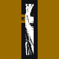 The Plot In You – Closure