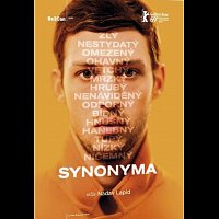 Různí interpreti – Synonyma