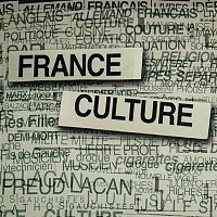 Arnaud Fleurent-Didier – France culture