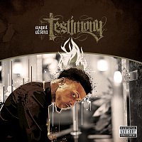 Testimony [Deluxe]