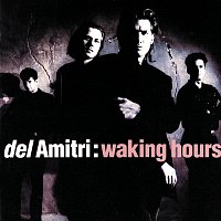Del Amitri – Waking Hours