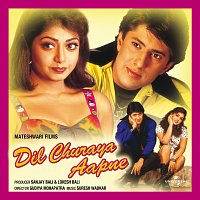 Dil Churaya Aapne [Original Motion Picture Soundtrack]