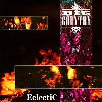 Přední strana obalu CD Eclectic [Live]