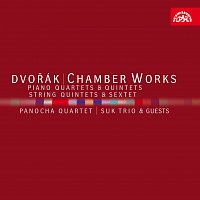 Panochovo kvarteto, Sukovo trio – Dvořák: Komorní dílo MP3