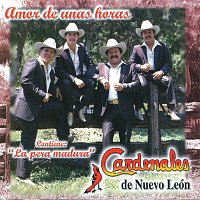 Cardenales De Nuevo León – Amor De Unas Horas