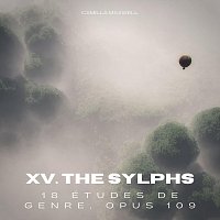 18 Études de genre, OP. 109: XV. The Sylphs
