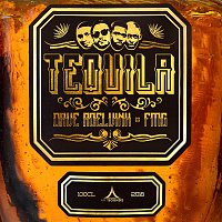 Dave Roelvink, Fmg – Tequila