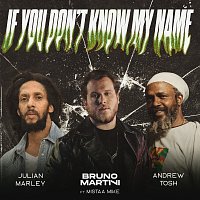 Bruno Martini, Julian Marley, Andrew Tosh, Mistaa Mike – If You Don’t Know My Name