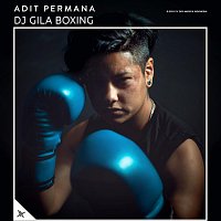 Adit Permana – DJ Gila Boxing