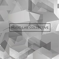 Music Lab Collective – I Took A Pill In Ibiza