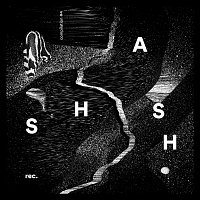 Různí interpreti – Shash Compilation 4
