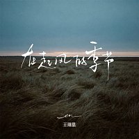 Přední strana obalu CD ??????