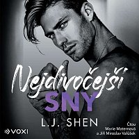 Přední strana obalu CD Nejdivočejší sny