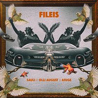 $auli, Olli August, 65uge – Fileis