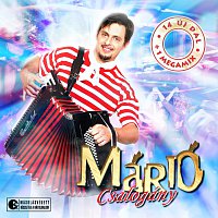 Mario – Csalogany
