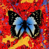 Ed Sheeran – 2step (feat. Antytila)