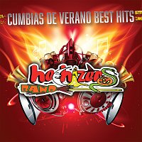 Hechizeros Band – Cumbias De Verano Best Hits
