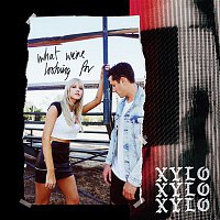 XYLO – What We're Looking For