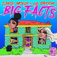 S3nsi Molly, Lil Brook – Big Facts