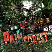 Přední strana obalu CD Pain Forest