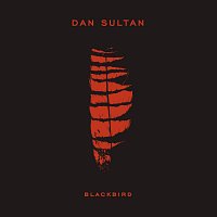 Dan Sultan – Blackbird